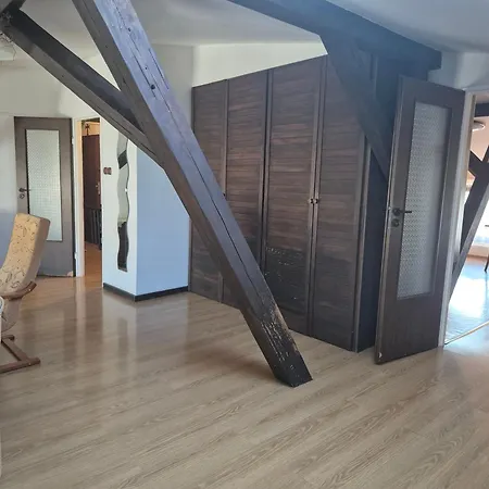 Mieszkanie 100 M Dla 4- 8 Osób Apartament Poznań